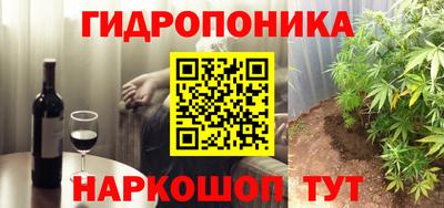 тгк Сочи