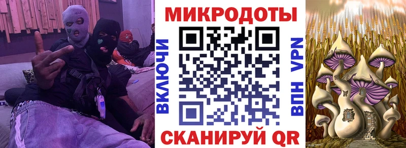 мориарти наркотические препараты  Астрахань  Псилоцибиновые грибы GOLDEN TEACHER 